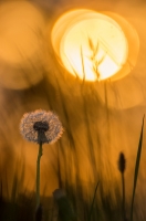 Nom du fichier=49872840923_1d813fdbb7_o.jpg
Taille du fichier=306Ko
Dimensions : 598x900
Ajouté le : 09 Mai 2020 49872840923_1d813fdbb7_o.jpg