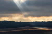 Nom du fichier=_img0110.jpg
Taille du fichier=286Ko
Dimensions : 1024x683
Ajouté le : 26 Décembre 2020 _img0110.jpg