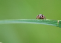 Nom du fichier=imgp0219.jpg
Taille du fichier=178Ko
Dimensions : 1024x731
Ajouté le : 03 Novembre 2018 imgp0219.jpg