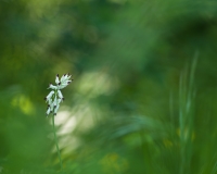 Nom du fichier=zsDM.jpg
Taille du fichier=380Ko
Dimensions : 1125x900
Ajouté le : 01 Mai 2019 zsDM.jpg