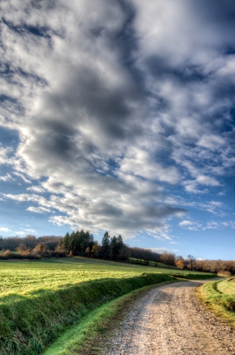 2015-12-10 / neosilencers
neosilencers   [Paysages et elements naturels]
