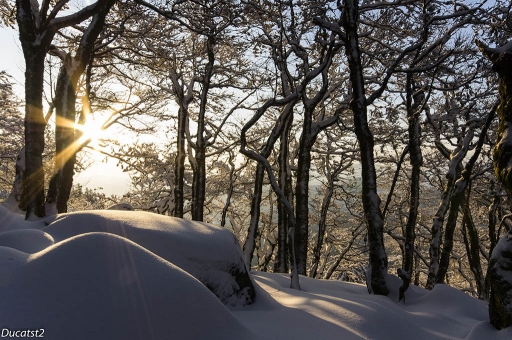 2016-02-27 / ducatst2
ducatst2 / [Paysages et elements naturels]
