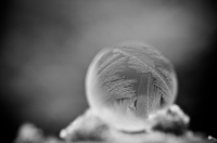 Nom du fichier=bulle_8.jpg
Taille du fichier=115Ko
Dimensions : 900x596
Ajouté le : 09 Janvier 2017 bulle_8.jpg