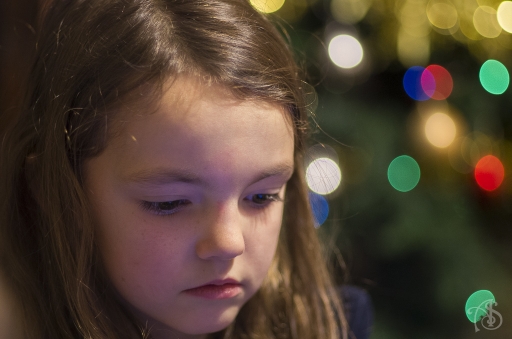 2015/12/2015-Sijam
Sijam-Portraits
