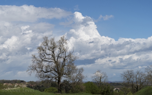 2016-04-14/Pech les oies
Pech les oies-Paysages et elements  naturels
