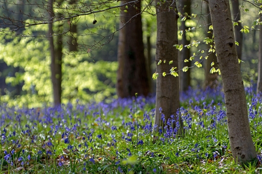 2016-04-23/J-C
J-C-Paysages et elements naturels
