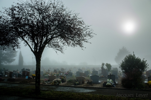 2016-10-30/Pech-les oies
Pech-les oies-Environment urbain et constructions humaines.
