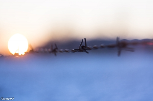 2017-01-22/Ducatst2
Ducatst2-Natures mortes,photos d'objets.
