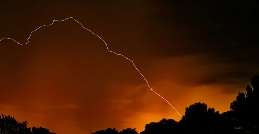 2017-04-02/olive76
olive76-Paysages et elements naturels.
