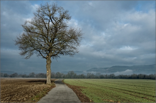 2017-06-02/Overdoz
Overdoz-Paysages et elements naturels
