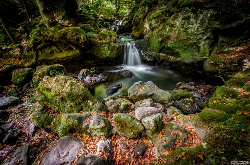 2017-10-11/nicolas03
nicolas03-Paysages et elements naturels.
