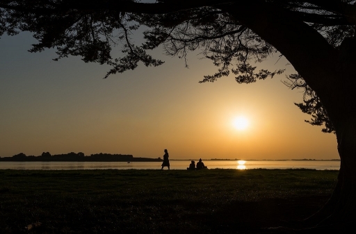 2017-10-21/neosilencers
neosilencers-Paysages et elements naturels
