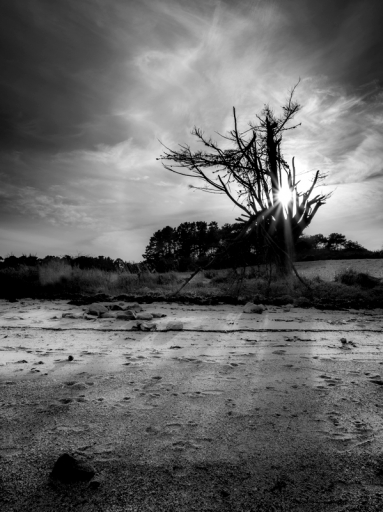 2018-01-08/neosilencers
neosilencers-Paysages et elements naturels
