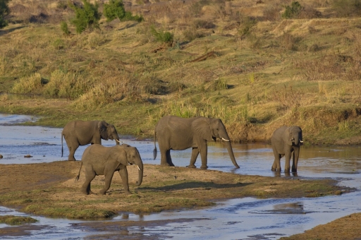 2018-02-01/Fre69
FeD69-Dans vos series "Ca trompe enormeeeent"
