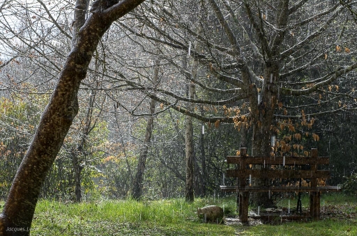 2018-03-13/Pech les oies
Pech les oies-Paysages et elements naturels
