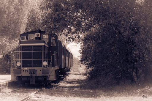 2018-08-28/raptor.dst
raptor.dst-Vehicules et moyens de transport.
