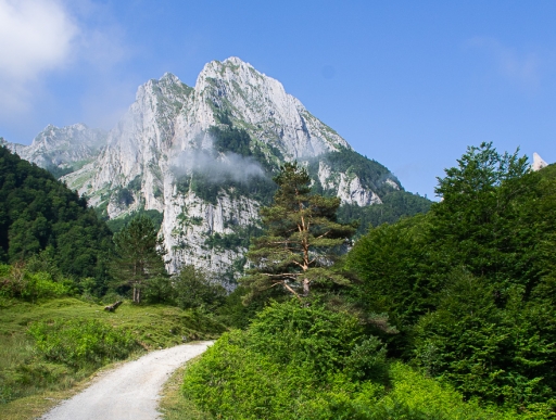 2019-07-16/jagulian
jagulian-Paysages et elements naturels 
