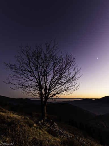 2019-12-31/ducatst2
ducatst2-Paysages et éléments naturels .
