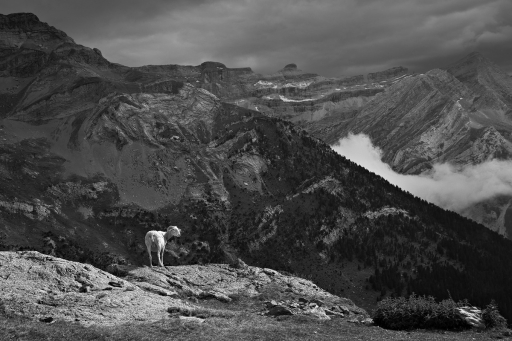 2020-03-10/Dan2
Dan2-Paysages et éléments naturels.
