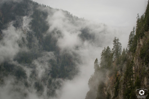 2020-05-19/nicolas03
nicolas03-Paysages et éléments naturels
