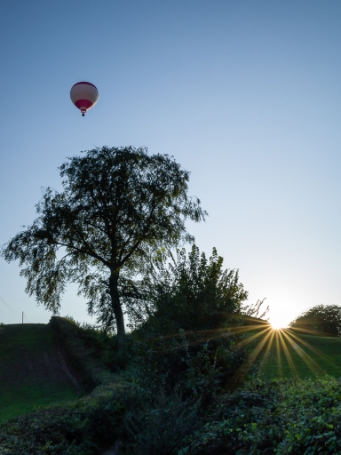 2020-09-29/J_C
J_C-Véhicules et Moyens de transport
