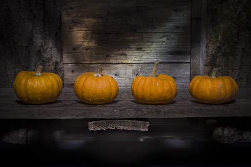 2020-10-13/Opus21
Opus21-Natures mortes, photos d'objets.
