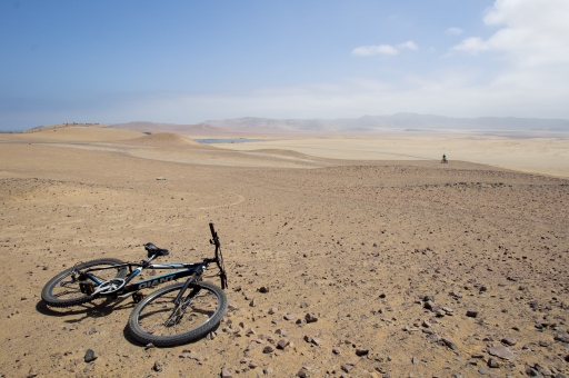 2016-10-25/Elixo
Elixo- Vos series : reserve National de Paracas (Perou)
