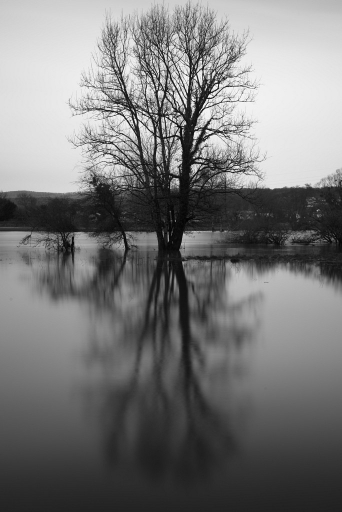 2018-02-06/Kadix Le Gaulois
Kadix Le Gaulois [Paysages et elements naturels]
