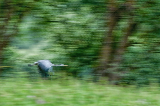 2019-07-14/TOFTOF
TOFTOF-Faune sauvage
