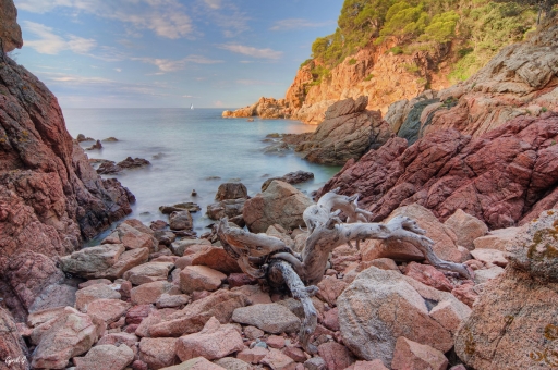 2020-05-20/CarpoDingo
CarpoDingo-Paysages et éléments naturels.
