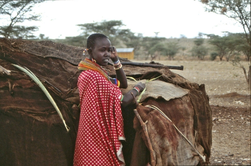 2020-03-31/Hermès
Hermès-Djambo Kenya et fin
