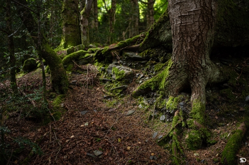 2019-09-10/SerDeber
SerDeber-Dans vos series "En montant vers les granges de Moutang"
