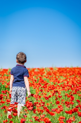 2018-05-18/FloRagnarok
FloRagnarok-Portraits

