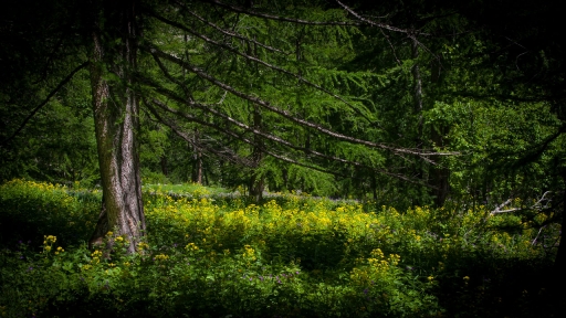 2019-06-12/SerDeber
SerDeber-Les photos de la sortie montagne du 22 au 24 Juin
