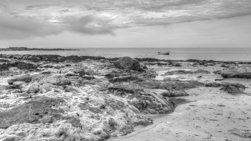 2020-10-20/papa
papa-Paysages et éléments naturels.
