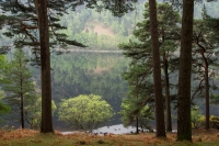 Nom du fichier=160513023203809320.jpg
Taille du fichier=332Ko
Dimensions : 1024x681
Ajouté le : 13 Mai 2016 160513023203809320.jpg