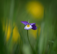 Nom du fichier=16060404474213410714282240.jpg
Taille du fichier=288Ko
Dimensions : 1024x978
Ajouté le : 04 Juin 2016 16060404474213410714282240.jpg