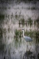 Nom du fichier=160608102003608989.jpg
Taille du fichier=288Ko
Dimensions : 451x678
Ajouté le : 08 Juin 2016 160608102003608989.jpg