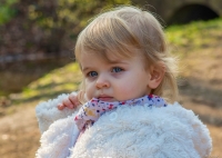 Nom du fichier=170330082504604180.jpg
Taille du fichier=341Ko
Dimensions : 995x708
Ajouté le : 30 Mars 2017 170330082504604180.jpg