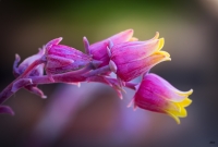 Nom du fichier=17050805115122554715026830.jpg
Taille du fichier=332Ko
Dimensions : 1024x693
Ajouté le : 08 Mai 2017 17050805115122554715026830.jpg