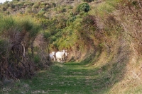 Nom du fichier=18102902101624106915969403.jpg
Taille du fichier=433Ko
Dimensions : 1024x682
Ajouté le : 29 Octobre 2018 18102902101624106915969403.jpg