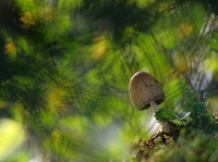 Nom du fichier=191023073547743786.jpg
Taille du fichier=198Ko
Dimensions : 1100x824
Ajouté le : 23 Octobre 2019 191023073547743786.jpg