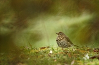 Nom du fichier=191129055211452601.jpg
Taille du fichier=160Ko
Dimensions : 1140x758
Ajouté le : 29 Novembre 2019 191129055211452601.jpg