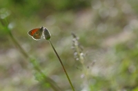 Nom du fichier=200504100549660073.jpg
Taille du fichier=132Ko
Dimensions : 1150x765
Ajouté le : 04 Mai 2020 200504100549660073.jpg