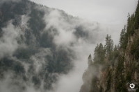 Nom du fichier=200518113935882926.jpg
Taille du fichier=257Ko
Dimensions : 1280x854
Ajouté le : 18 Mai 2020 200518113935882926.jpg