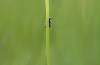 Nom du fichier=20060110482925341416826855.jpg
Taille du fichier=347Ko
Dimensions : 1280x826
Ajouté le : 01 Juin 2020 20060110482925341416826855.jpg