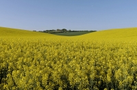 Nom du fichier=28087592238_6bea4ed16b_o.jpg
Taille du fichier=296Ko
Dimensions : 1024x678
Ajouté le : 07 Mai 2018 28087592238_6bea4ed16b_o.jpg