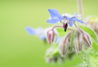 Nom du fichier=40956110705_d9999d70c3_o.jpg
Taille du fichier=280Ko
Dimensions : 1024x707
Ajouté le : 08 Mai 2018 40956110705_d9999d70c3_o.jpg