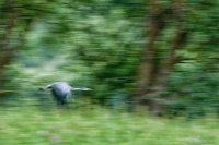 Nom du fichier=48279139402_d6a4b6ec6a_o.jpg
Taille du fichier=475Ko
Dimensions : 1199x800
Ajouté le : 21 Juillet 2019 48279139402_d6a4b6ec6a_o.jpg