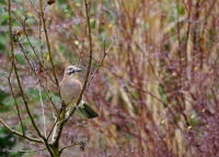 Nom du fichier=8jjmp.jpg
Taille du fichier=493Ko
Dimensions : 1280x923
Ajouté le : 16 Décembre 2019 8jjmp.jpg